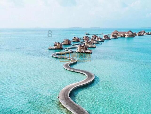 失忆的流浪者